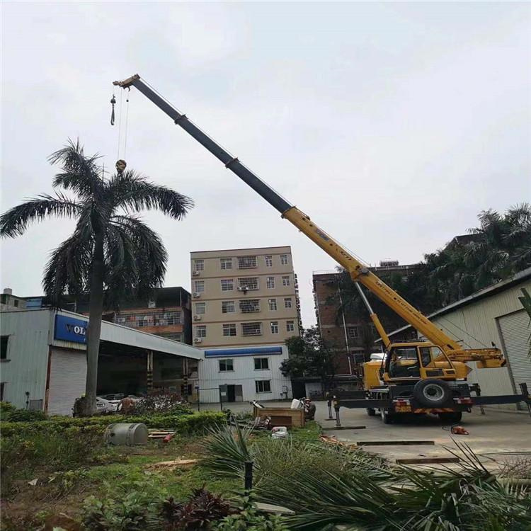 南沙汽车吊出租多少钱？全面解析与市场行情